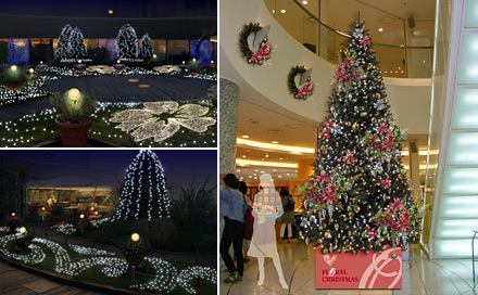 ����åԥ󥰻��ߥĥ꡼������ץ��