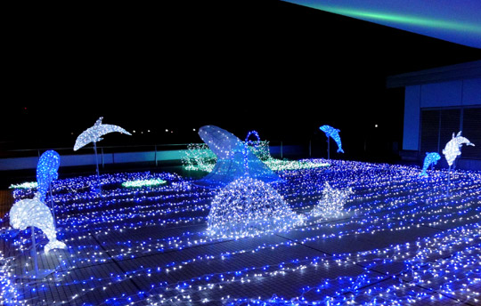 �����ǥå�1